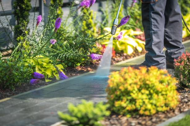 Best Residential Pressure Washing in Holly Springs, GA